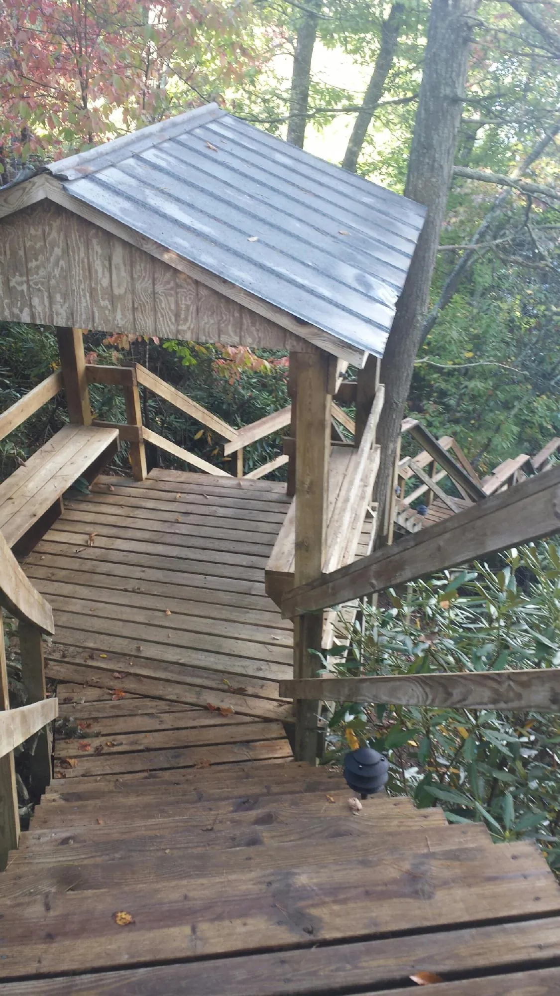 Metal roofed shelter over wooden steps on a wooded walkway — Skylight Repair & Installation work by our crew in Edenton