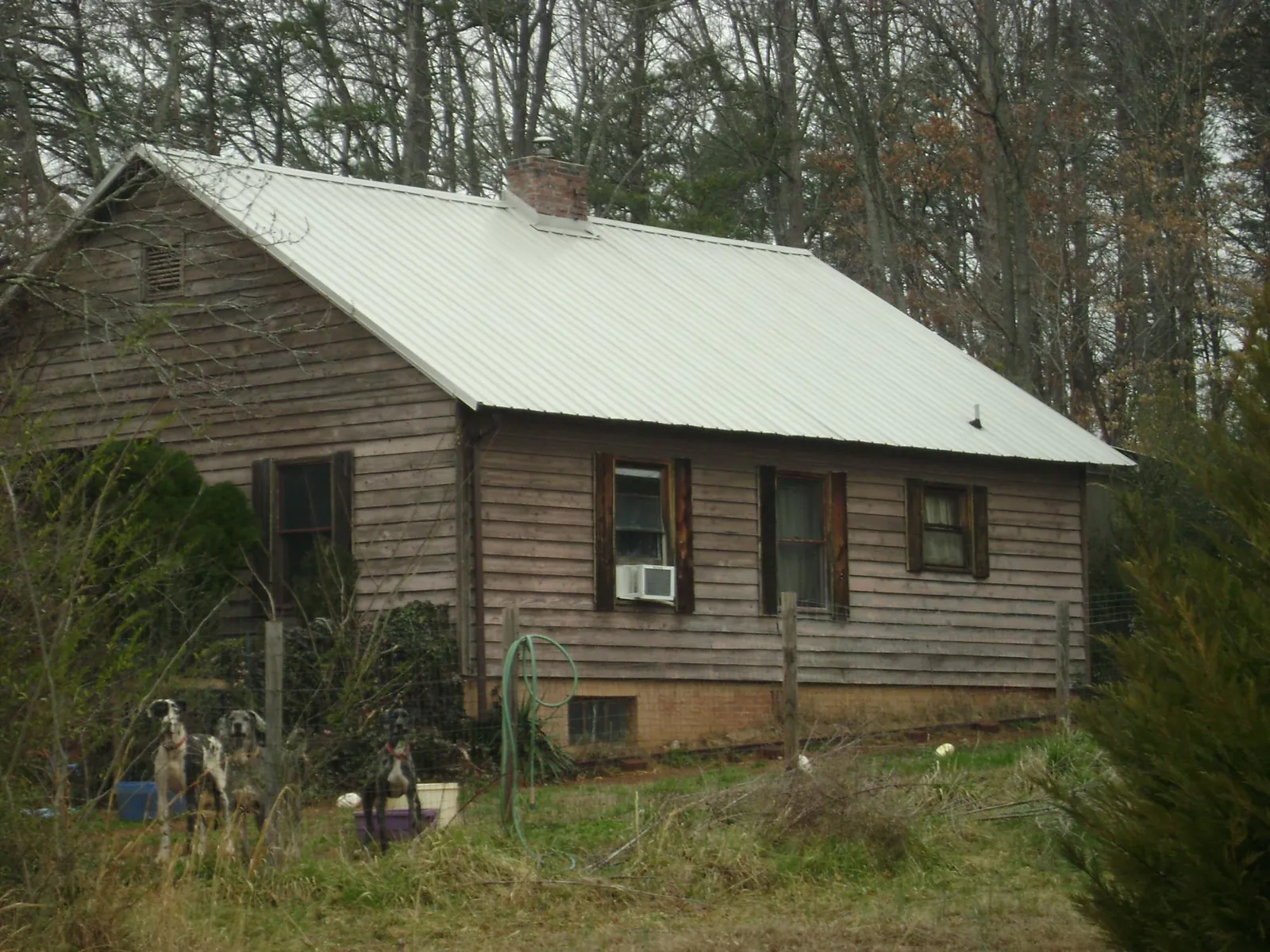 White metal roof on an old wood sided farmhouse, from a Asphalt Shingle Roof Repair job in Edenton